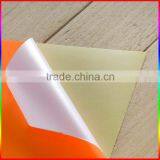 Custom Printed Fluorescent Paper Sticker for Warning thumbnail-4