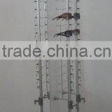 Floor Glasses Display