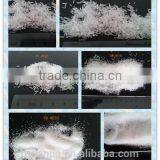 Koser Halal Certified Oem Manufacture Good Quality Monosodium Glutamate Msg thumbnail-4