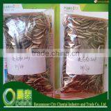 Looking For Sunflower Seeds Exporter From Inner Mongolia China