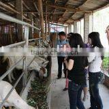 Hot Dip Galvanized Sheep Fence Panel thumbnail-1