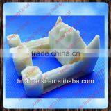 Multifunction Digital 3D Printer Box Machine AMS-3D