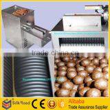 Factory Supply Automatic Pill Making Machine thumbnail-6