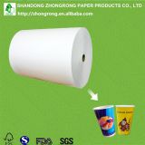 PE coated roll paper for paper cups