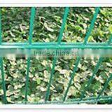Wholesale Powder Coated CE&ISO Certificated Double Wire Fencing (professional Manufacturer) thumbnail-1