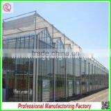 Agriculture Farm 8.0m Multi-span Commercial Glass House Garden for Sale thumbnail-2