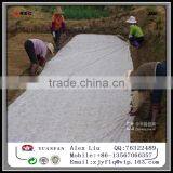 Welded PPSB Non Woven Fabric for Agriculture thumbnail-4