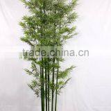 2015 Hot Sale Artificial Plastic Bamboo Bonsai