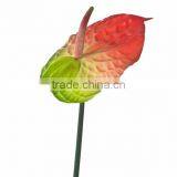 SJ10131016 Fabric Decorative Flores/ Ornament Silk Flower Anthurium Artificial Flowers thumbnail-3