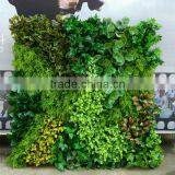 SJ0409027 Plant Climbing Walls Plastic Plants Wall/vertical Green Wall Garden thumbnail-1