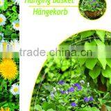 Hanging Basket thumbnail-1