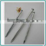 Лучшая цена на оцинкованные стальные бетонные гвозди из фабрики в Линьи thumbnail-4