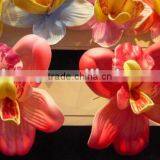 Red Frangipani Flower thumbnail-1