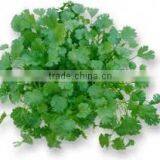 COARINDER OIL thumbnail-4