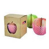 Recycled red / pink apple Shaped Sticky Notes for girl student