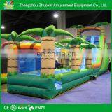 Giant Inflatable Water Slide for Adult/inflatable Water Slides China thumbnail-5
