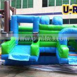 Shark Inflatable Slide for Children and Adult