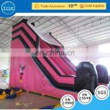 Hot Selling Banners for Sale Fire Truck Inflatable Dinosaur Bounce House With Low Price thumbnail-2