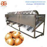 Onion Sorting Machine|Onion Grading Machine for Sale|Professional Onion Picking Machine thumbnail-2