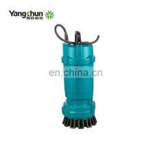 High Efficiency 0.75KW 220V Submersible Water Pump For Cleaning Water thumbnail-2