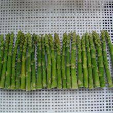 Frozen Asparagus