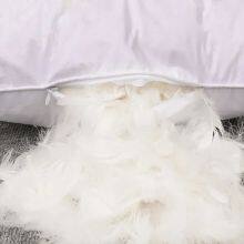 Luxury 2-4CM White Goose Feather Pillow thumbnail-3