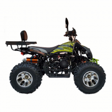 High Quality Tricycle Motorcycle 250CC 300CC Quad ATV UTV for Sale thumbnail-3
