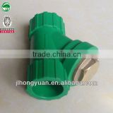 PP-R accessories plastic irrigation pipe fittings Water Filter for pipe fittings(brass plug)