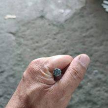 Zinc-coated Steel Wire Strand,galvanized Steel Wire Strand, Steel Wire 1×3, 1×7, 1×19, 1×37, 3x7 thumbnail-1