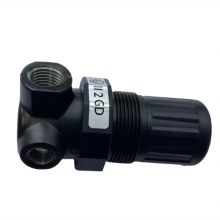 NORGREN R07-100/200/105/205-RNKG/RNMG Universal Micro Pressure Reducing Valve thumbnail-1