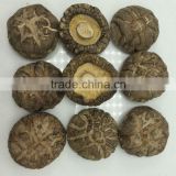 Chinese Dried Mushroom with Factory Prices