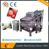 Leader Excellent Performance and Popular Litchi Skin Peeling Equipment thumbnail-4