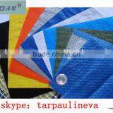 Sample Tarpaulin&stretch Tarpaulin&high Density Polyethylene Sheet thumbnail-1