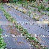 Hot Selling! Black Polypropylene Film thumbnail-1