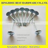 Roofing Umbrella Nail thumbnail-5