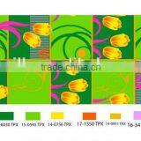 Two Sides Brushed Fabric for Home Texile