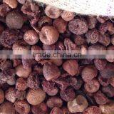 SELLING BOILED BETEL NUT Without Wrinkle Seeds FROM VIETNAM thumbnail-2