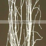 White Birch Branches /Natural Branches/Dried Branches/3''-5'' Natural Curly Willow