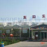 Fully Openable Roof Film Greenhouse ISO9001:2000 thumbnail-3