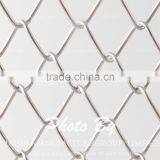 Hot Sales Chain Link Fence/Mesh