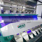 Automatic CCD Black Pepper Color Sorter/seperator Machine Price thumbnail-5