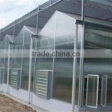 Large Greenhouse With Sunlight Board Covering thumbnail-1