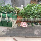 OXford Garden Bag &garden Kit Set thumbnail-2