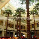 Outdoor Tropical Decorative Palm Trees/hugh Indoor Decorative Palm Tree thumbnail-3