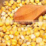 Corn Oil thumbnail-5