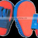 Boxing Focus Pad