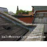 Seagull Spikes thumbnail-1