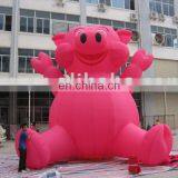 Inflatable Cartoon Pig