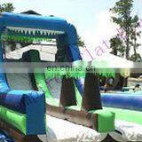 Hot Sale Giant Inflatable Water Slide WS011