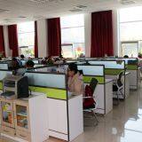 Shouguang Fuhsi Wood Group company overview - view 2 thumbnail